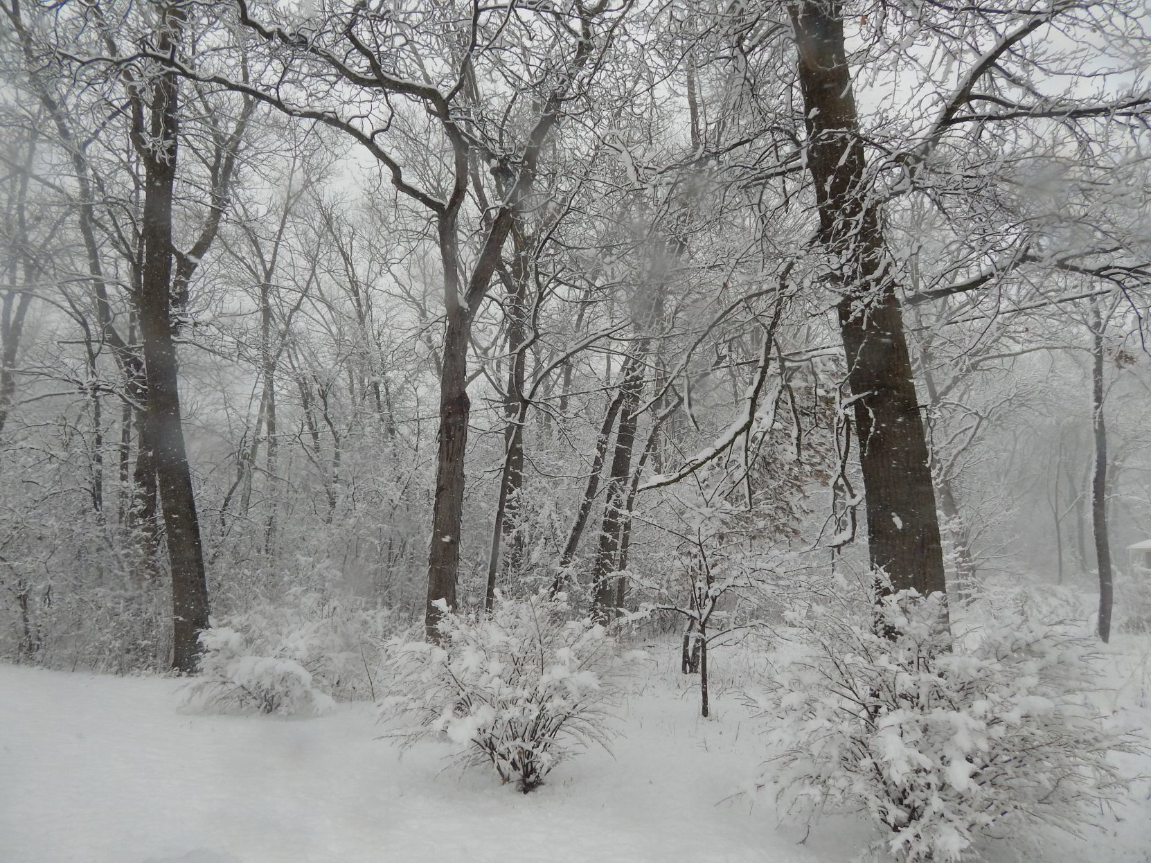 Do April (snow) showers bring May flowers?